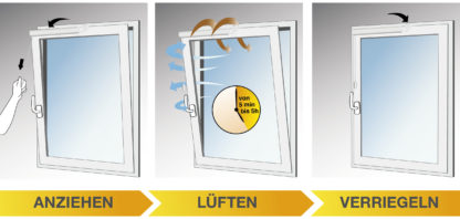 WINFLIP Standard Version 2 – Bild 3